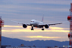 睦月の翼✈Boeing 787-8