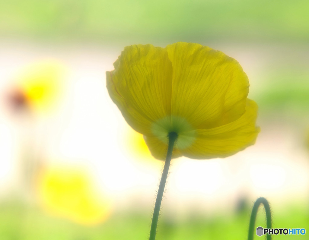 春風の中で・・