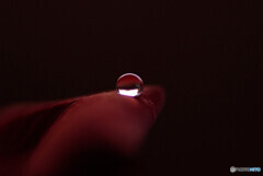 静寂の時間✾雫