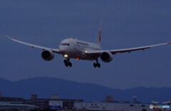 蒼の時✈Boeing 787-8 Dreamliner 