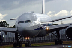 Traveler of Itami✈Boeing777