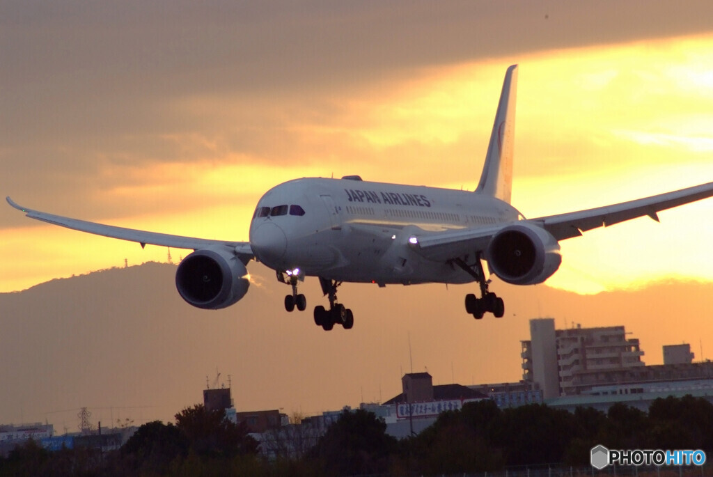 魅せられて✈HARADAの朝