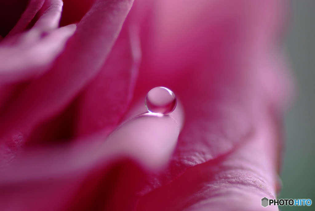 涼を求めて・雫