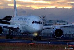 俺の朝✈Dreamliner