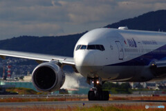 October Afternoon✈Boeing 777-200