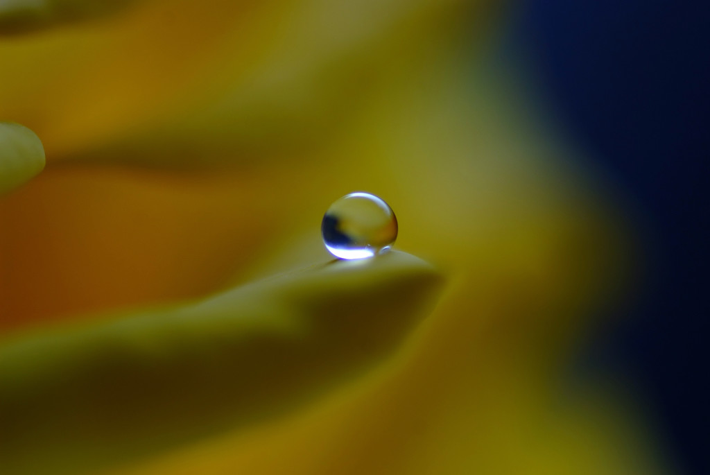 想い玉・雫（Ⅳ）