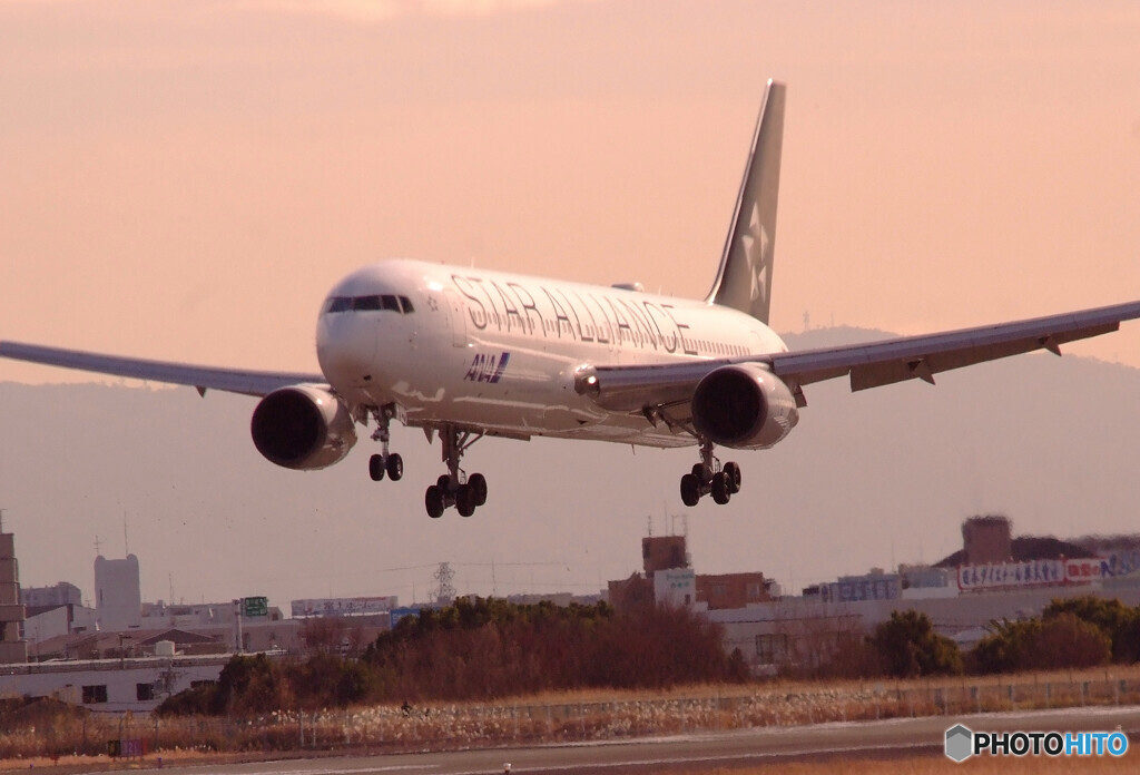 January Dream✈JA614A