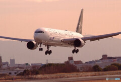 January Dream✈JA614A