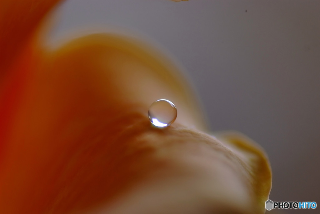 永遠に美しく・雫