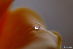 永遠に美しく・雫