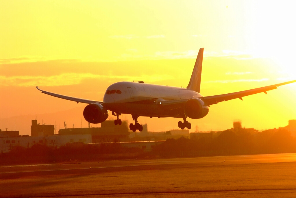 グッド！モーニング✈BLUEBIRD