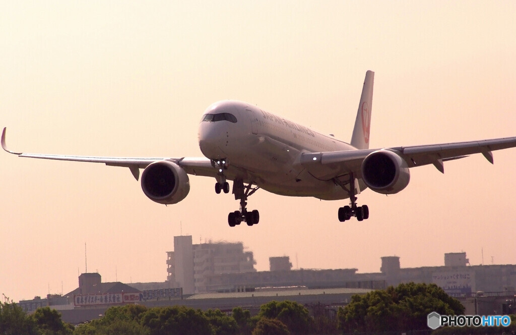 春色の誘惑✈A350-900