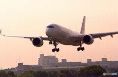 春色の誘惑✈A350-900