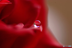 やすらぎの時・雫