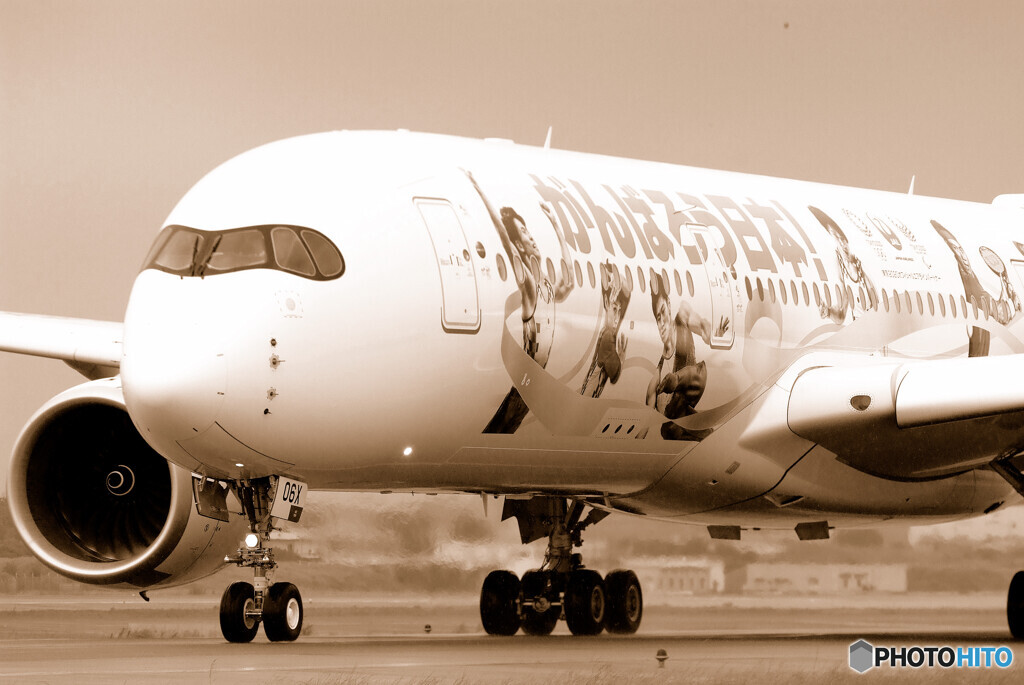 想いでは美しく✈JA06XJ