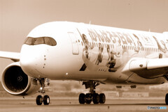 想いでは美しく✈JA06XJ