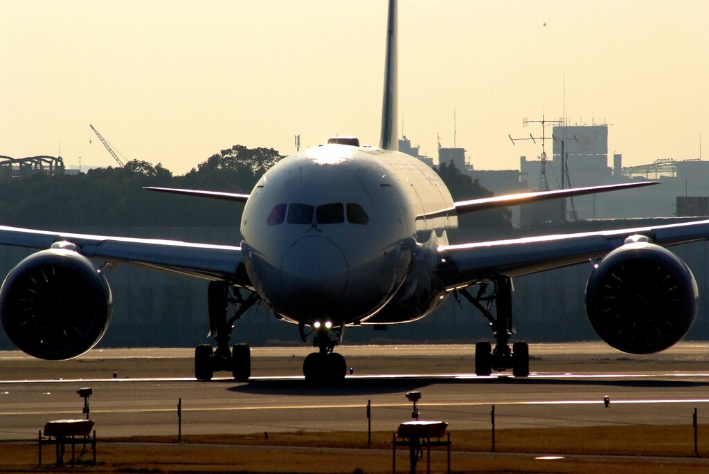 桜月の旅路✿Boeing787-8