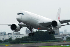 August morningⅤ✈JA13XJ