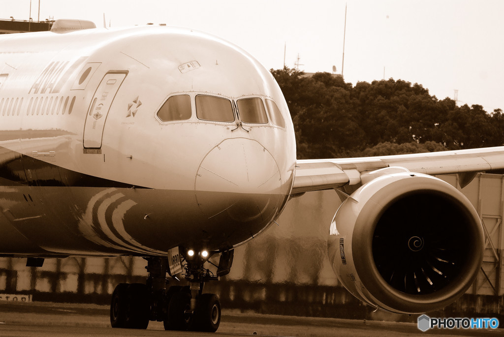 俺の空へⅤ・787