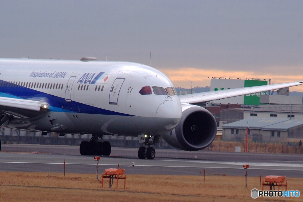 February wings✈ANA