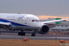 February wings✈ANA