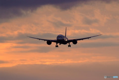 Morning Bird・HARADA