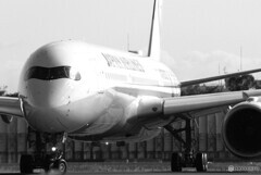 B＆Wの世界へ✈JA03XJ