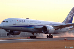 January travelerⅧ☆ANA787-8
