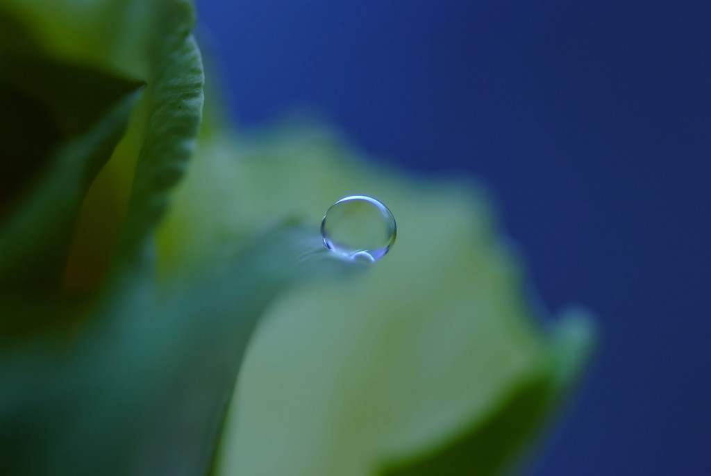 癒しの空間・雫
