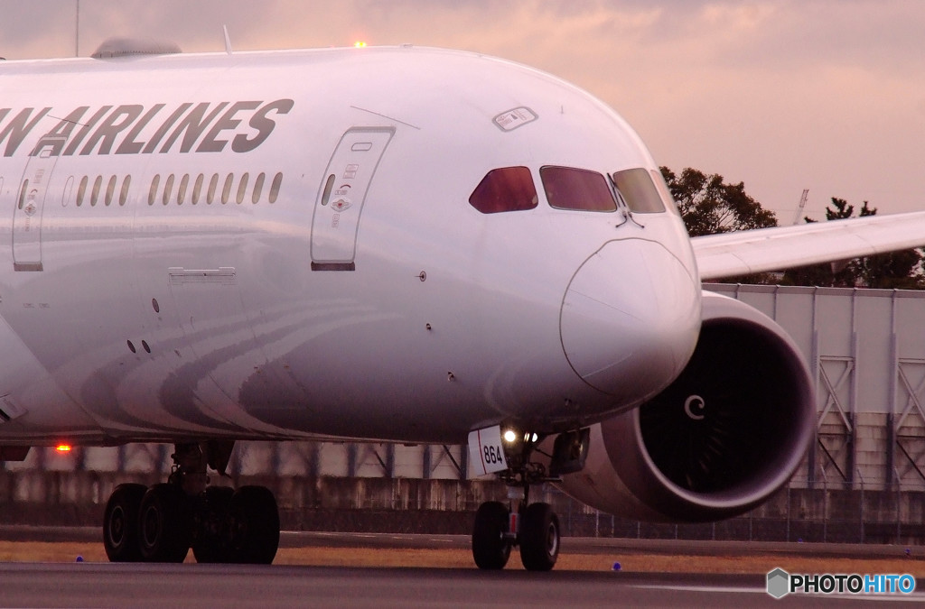 White KnightⅢ・Dreamliner 