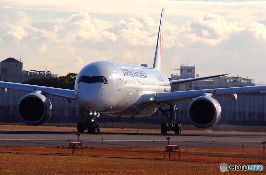 December wings✈JA02XJ