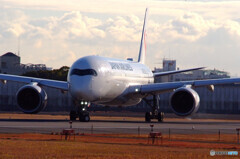 December wings✈JA02XJ