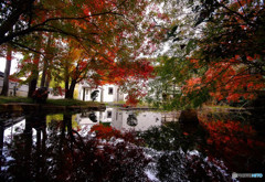 万博紅葉巡り