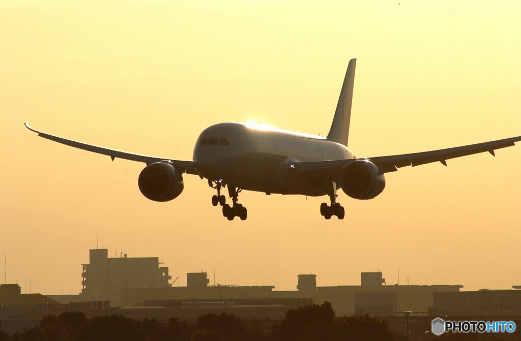 GOLDSTAGE ✈Boeing 787-8