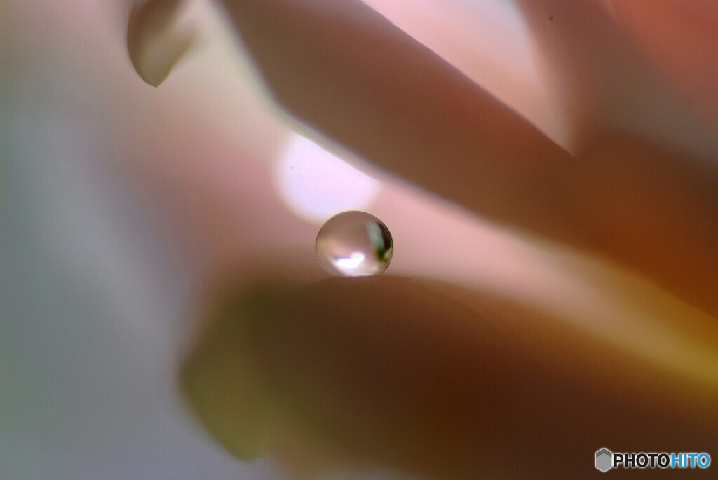 皐月の惑星・絆