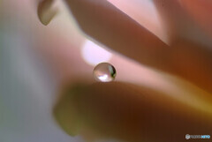 皐月の惑星・絆