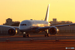 朝日を浴びて✈Boeing787-8