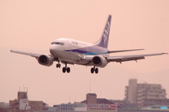 春色・DOLPHIN★JET