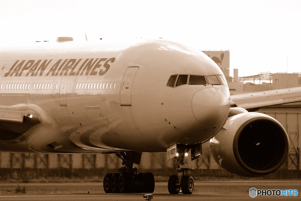 Morning Dreamer ・Ⅷ