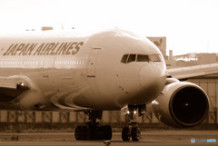 Morning Dreamer ・Ⅷ