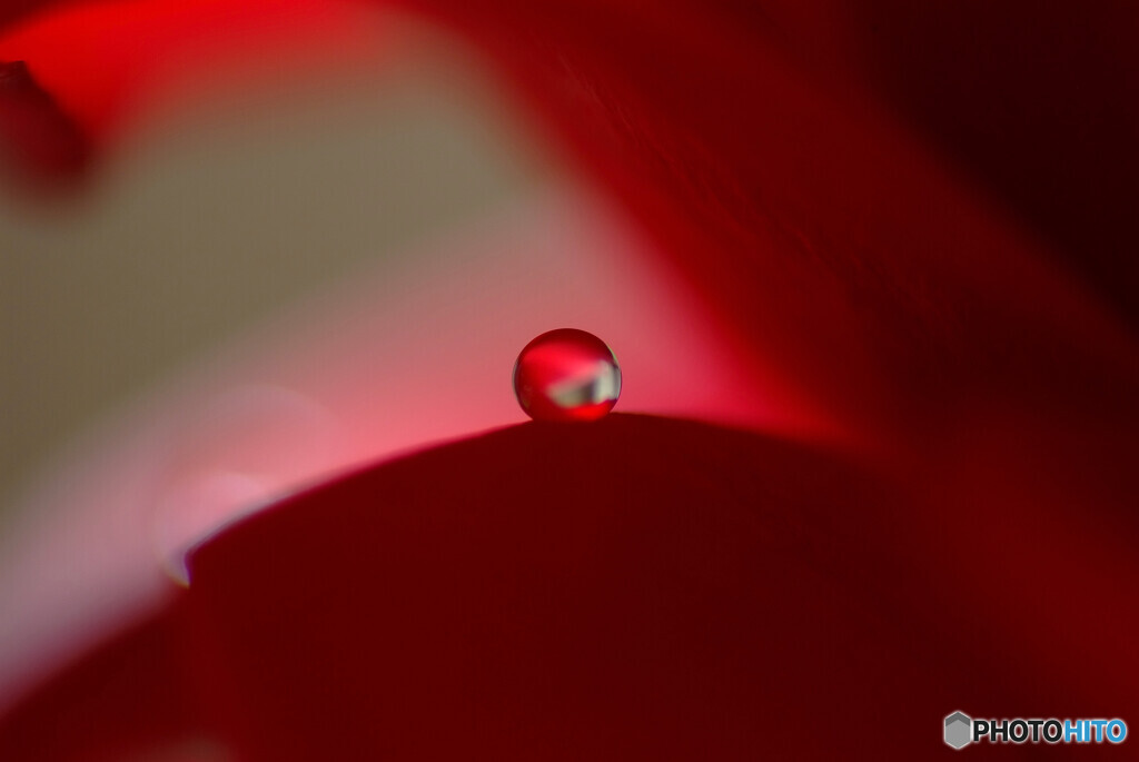 瞳そらさないで・艶