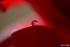 瞳そらさないで・艶