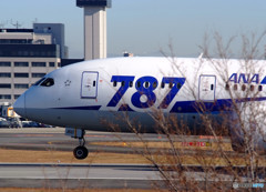 Boeing 787 Dreamliner2015