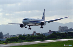 秋空散歩✈Boeing767-300