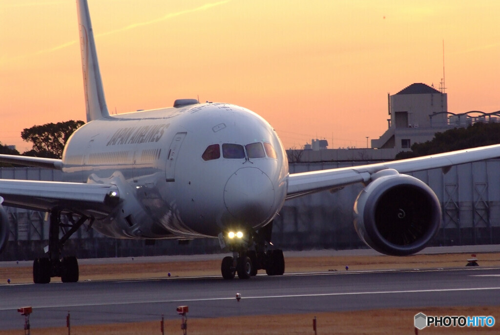 Present for you✿Boeing787-8