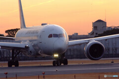 Present for you✿Boeing787-8