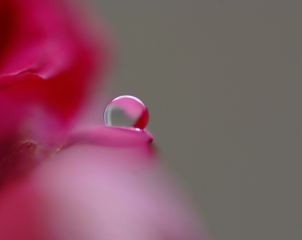 マイライフ・雫