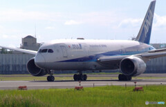 いい日旅立ち秋✈787-8 Dreamliner