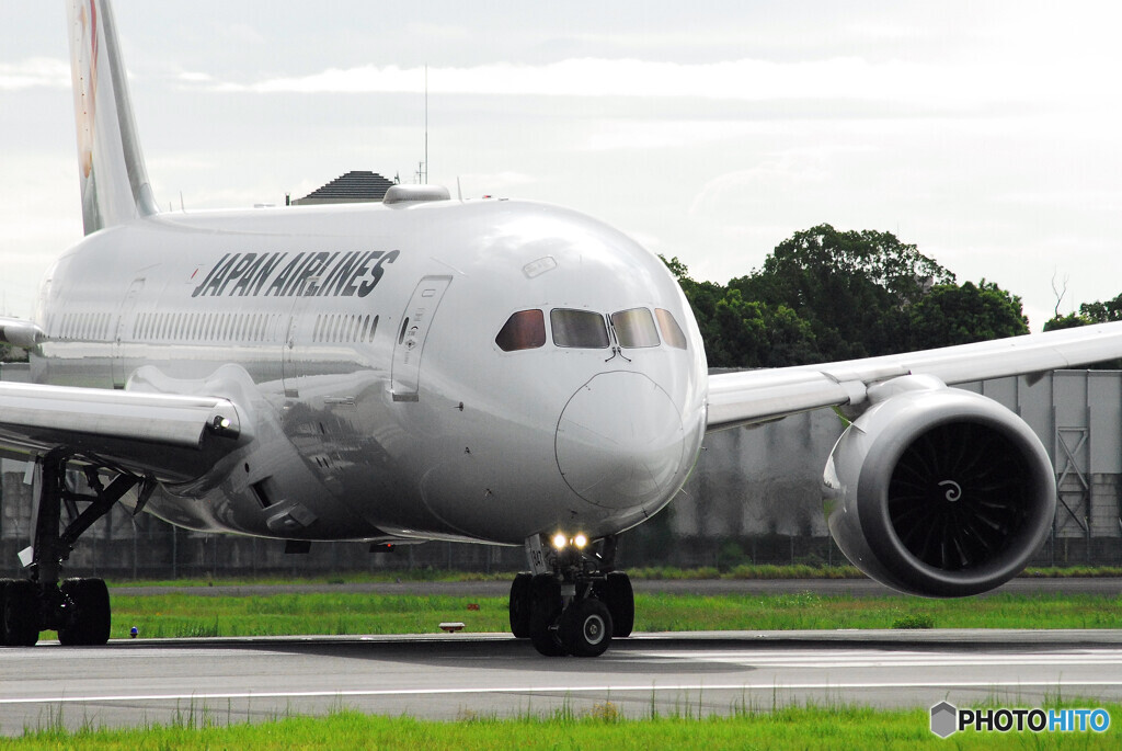 Traveler of AugustⅤ✈Boeing 787-8