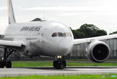 Traveler of AugustⅤ✈Boeing 787-8